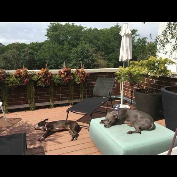 WELCOME! Nice to meet you! I ACCEPT MOST OFFERS! Try me!! - Picture 13 of 16